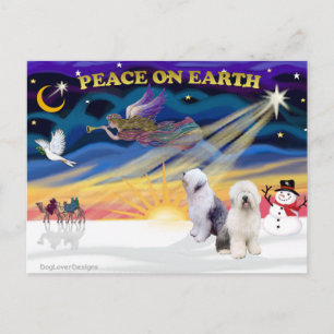 Cartes Pour Fêtes Annuelles XmasSunrise-Two-Old English Sheepdog