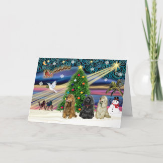 Cartes Pour Fêtes Annuelles Xms Magic-3Cockers-blk-brwn