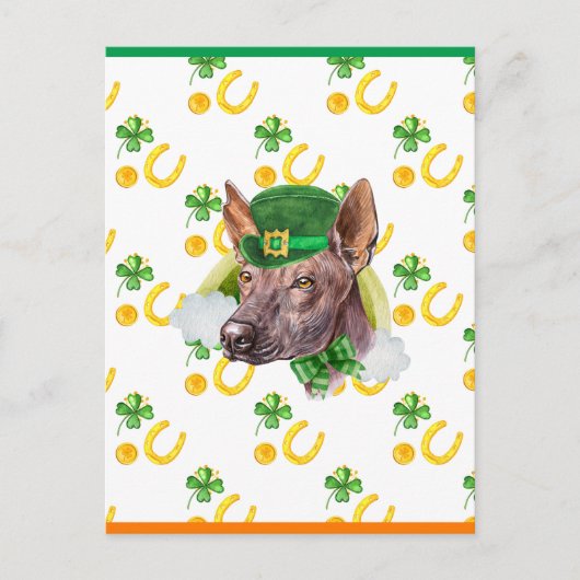 Cartes Pour Fêtes Annuelles Xoloitzcuintle Shamrock Saint-Patricks (Devant)