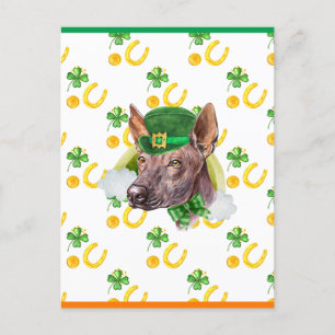 Cartes Pour Fêtes Annuelles Xoloitzcuintle Trèfle Saint-Patrick