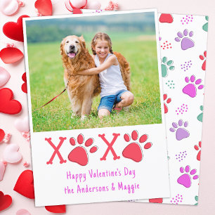 Cartes Pour Fêtes Annuelles XOXO Valentines Amoureux des chiens Jour Photo pou
