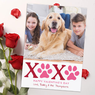 Cartes Pour Fêtes Annuelles XOXO Valentine's Day mignonne Personnalisé chien d