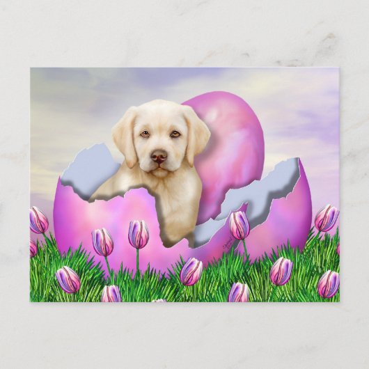 Cartes Pour Fêtes Annuelles Yellow Labrador Easter Surprise (Devant)