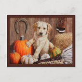 Cartes Pour Fêtes Annuelles Yellow Labrador Retriever Chien Chien Chien Citrou (Devant)