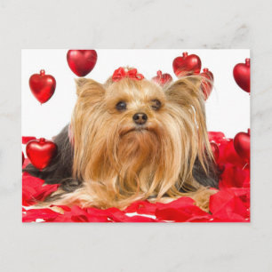 Cartes Pour Fêtes Annuelles Yorkie mignon Valentine
