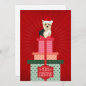 Cartes Pour Fêtes Annuelles Yorkie Noël présente Joyeux Chien de Noël (Devant / Derrière)