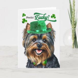Cartes Pour Fêtes Annuelles Yorkshire Terrier Chien Lucky St Patrick's Day