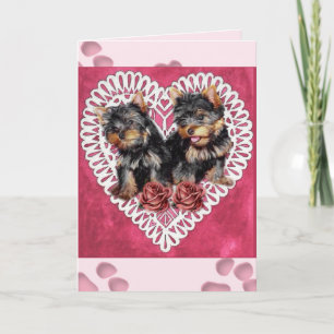 Cartes Pour Fêtes Annuelles Yorkshire Terrier Chiots Valentines