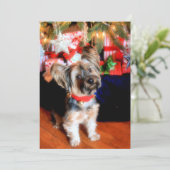 Cartes Pour Fêtes Annuelles Yorkshire Terrier en col-cloche avec Noël (Debout devant)