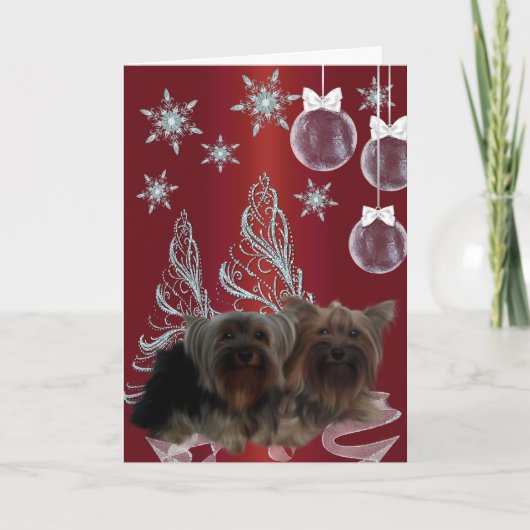 Cartes Pour Fêtes Annuelles Yorkshire Terrier Noël (Devant)