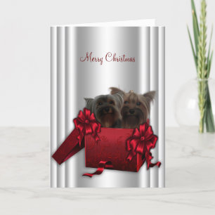 Cartes Pour Fêtes Annuelles Yorkshire Terrier Noël