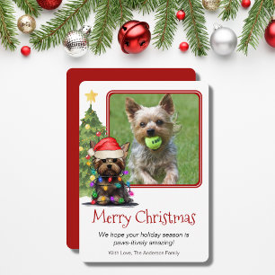 Cartes Pour Fêtes Annuelles Yorkshire Terrier Noël animal de compagnie chien u
