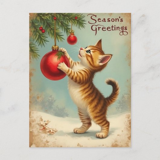 Cartes Pour Fêtes Annuelles Your Own Text Season’s Greetings Kitten Postcard (Devant)