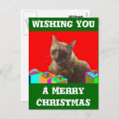Cartes Pour Fêtes Annuelles Zack le chat de Noël (Devant / Derrière)
