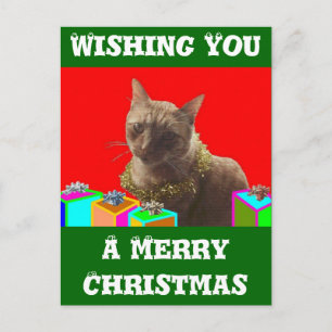 Cartes Pour Fêtes Annuelles Zack le chat de Noël