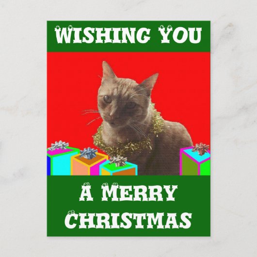 Cartes Pour Fêtes Annuelles Zack le chat de Noël (Devant)