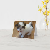 Cartes pour notes de chiot de Shih Tzu (Fleur jaune)