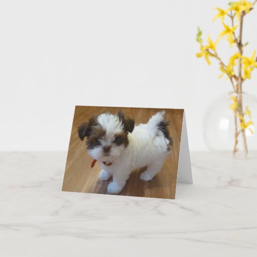 Cartes pour notes de chiot de Shih Tzu (Fleur jaune)