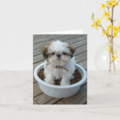 Cartes pour notes de chiot de Shih Tzu (Fleur jaune)