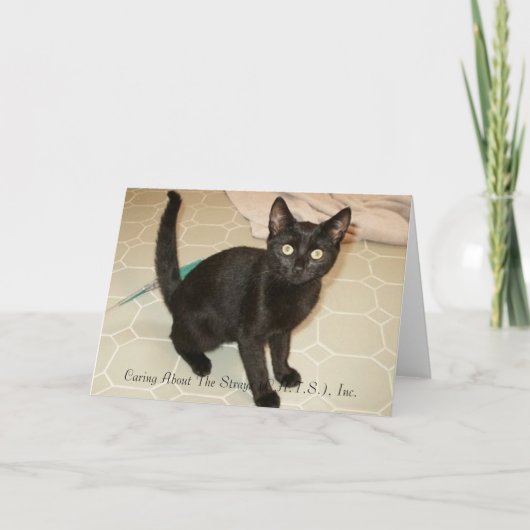 Cartes pour notes de fillette (Devant)