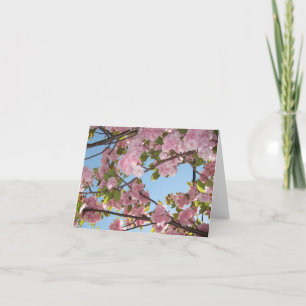 Cartes pour notes de fleurs de cerisier