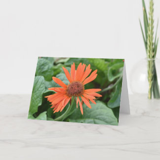 Cartes pour notes de fleurs souriantes (vierges à