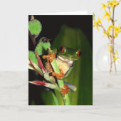 Cartes pour notes de grenouille (Fleur jaune)