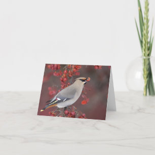 Cartes pour notes de jaseur de Bohème
