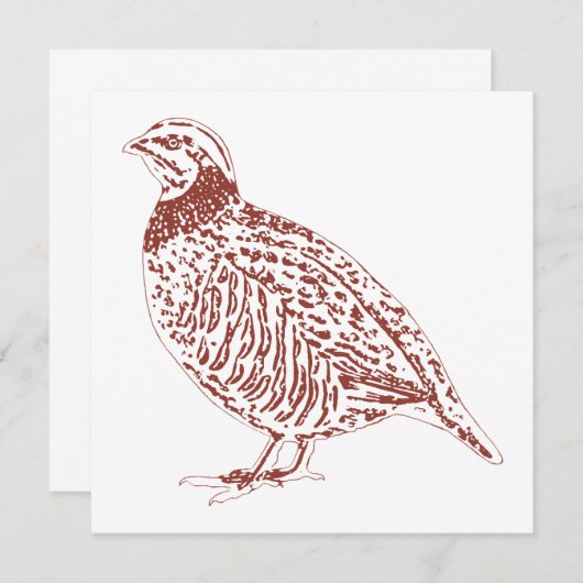 Cartes pour notes de perdrix (Devant / Derrière)