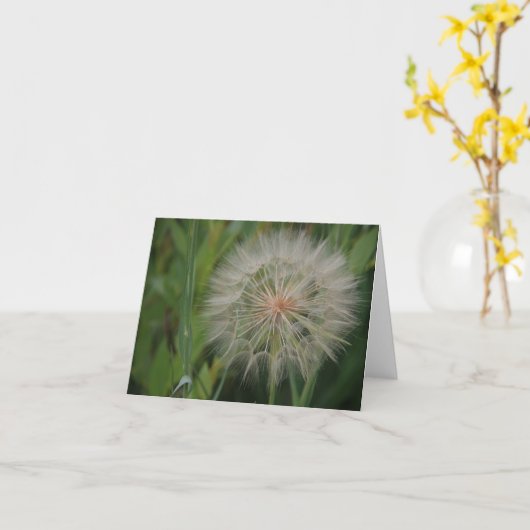 Cartes pour notes de pissenlit (Fleur jaune)