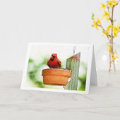 Cartes pour notes d'oiseaux de jardin (Fleur jaune)