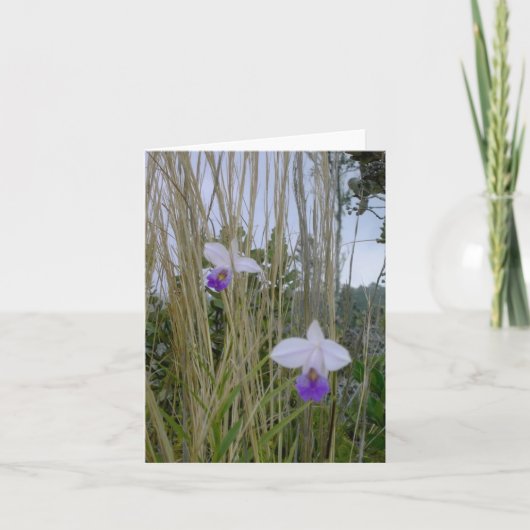 Cartes pour notes d'orchidées sauvages, Big Island (Devant)