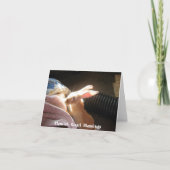 Cartes pour notes géants flamands de bénédictions (Devant)