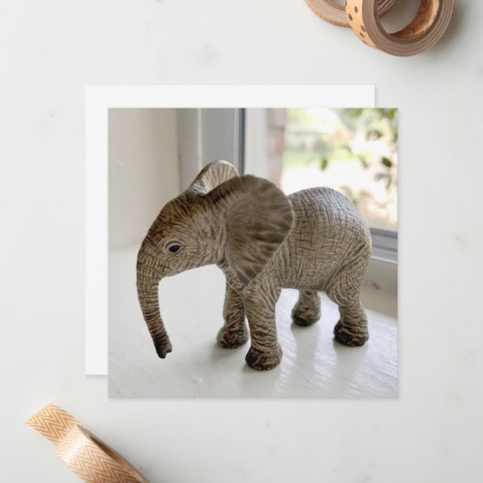 Cartes pour notes orphelins de bébés éléphants (Devant/Arrière en situation)