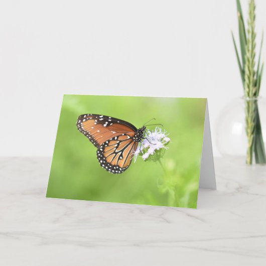 Cartes pour notes papillons d'automne (vierge à l' (Devant)