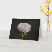 Cartes pour notes rose et blanc rose (blanc intéri (Fleur jaune)