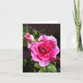 Cartes pour notes roses