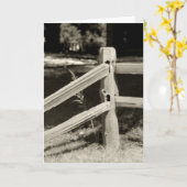 Cartes pour notes RUSTIQUES DE LA FERME (Fleur jaune)