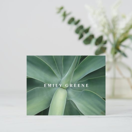 Cartes pour notes succulents (Debout devant)