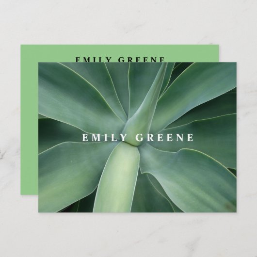 Cartes pour notes succulents (Devant / Derrière)