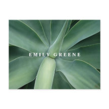 Cartes pour notes succulents