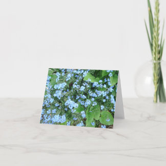 Cartes pour notes vides de *Forget-Me-Not*