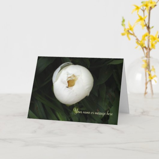 Cartes pour notes White Peony (Fleur jaune)