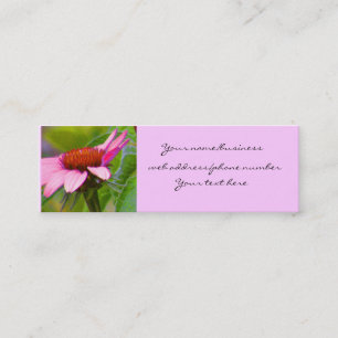 Cartes pourpres de profil de Coneflower
