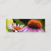 Cartes pourpres de profil de Coneflower (Dos)