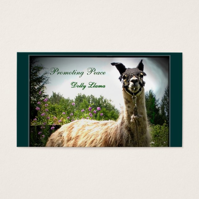 Cartes professionnelles Dolly Llama (Devant)