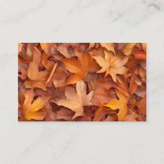 Cartes réseau professionnelles Oceania