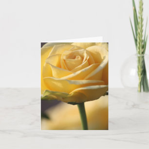 CARTES ROSE JAUNE