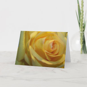 CARTES ROSE JAUNE