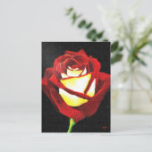 Cartes Roses rouges et blanches (Debout devant)
